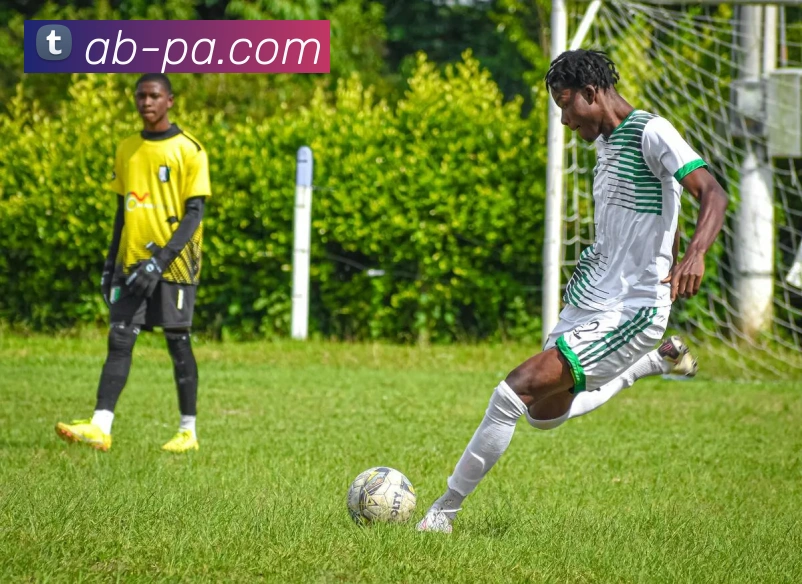 PA真人官网平台生态图